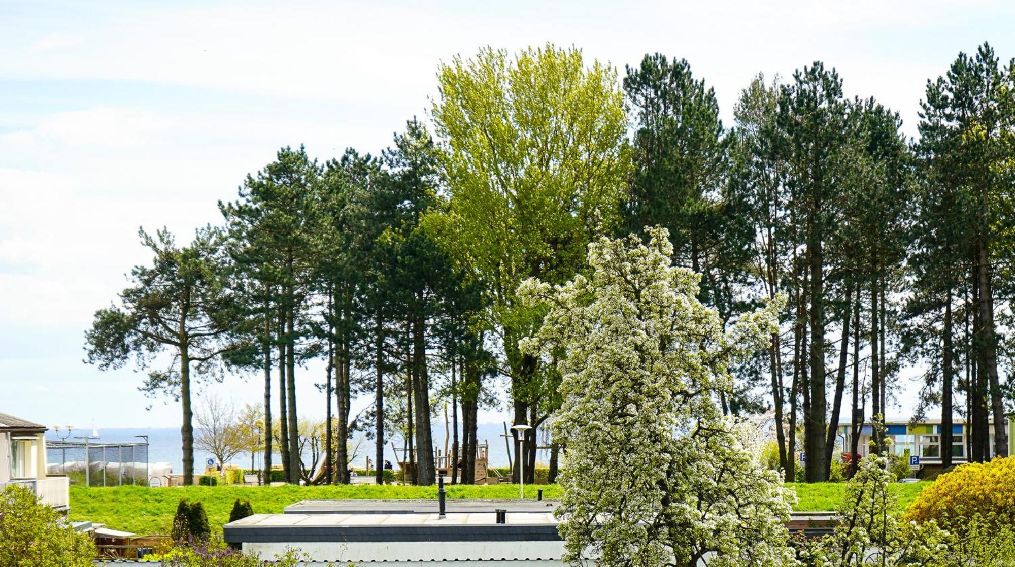 Haus Meeresbrise - Whg 6 Gromitz Bagian luar foto